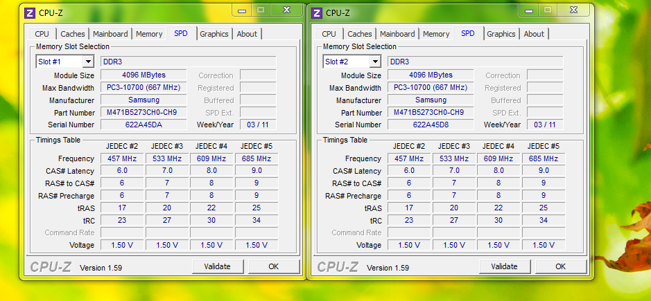 Image IPB